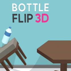 Bottle Flip 3D