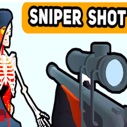 SNIPER SHOT BULLET TIME